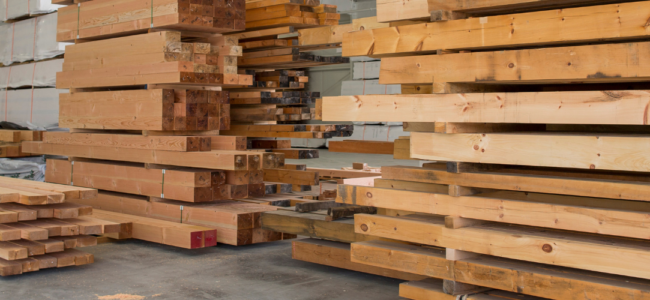 Which Timber Type & Wood Species Are Best for My Project?