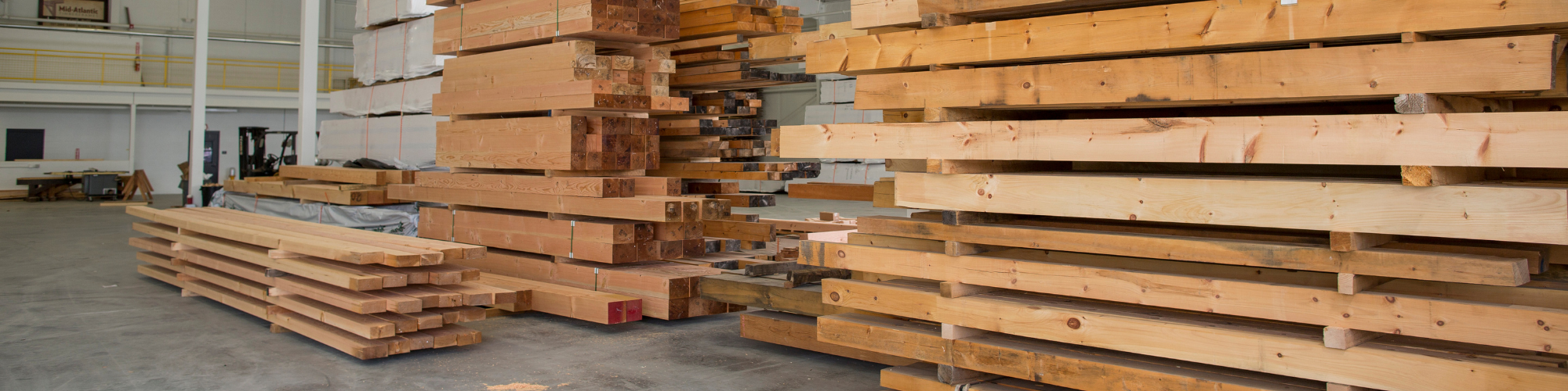 Which Timber Type & Wood Species Are Best for My Project?