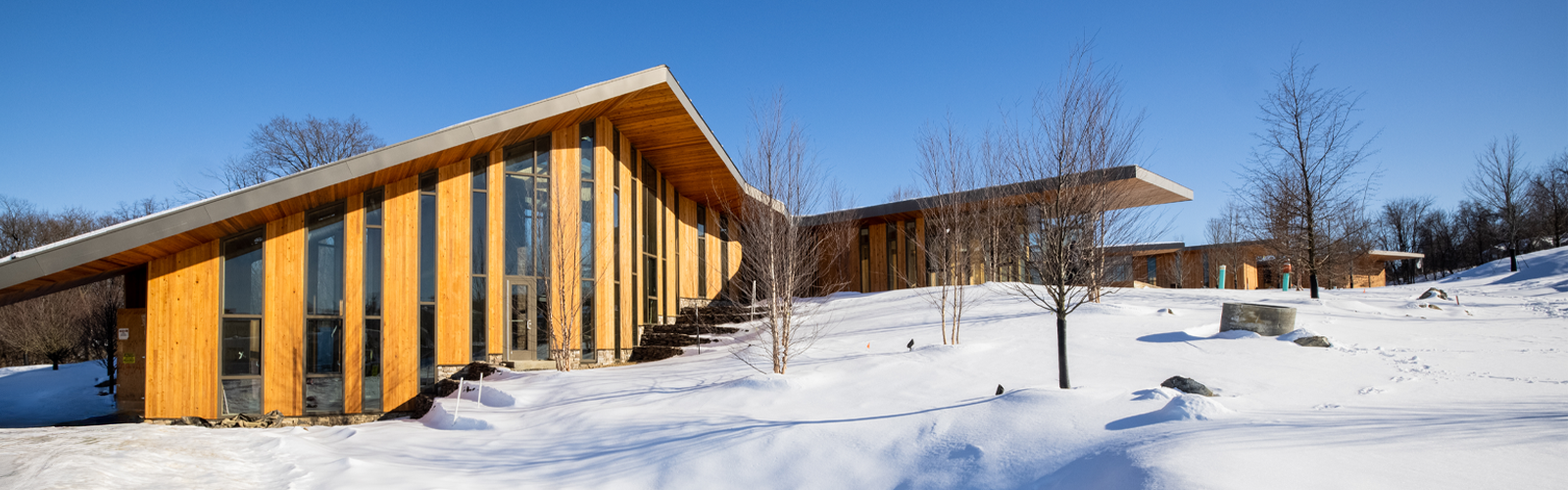 Sustainable Construction for Corporate Campuses