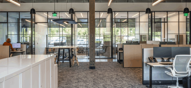 Why Timber Is the Smart Choice for Commercial Building Projects